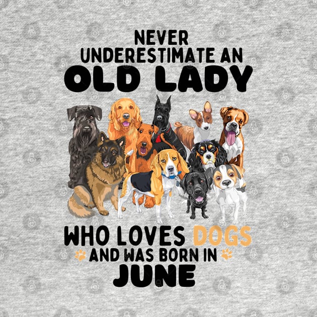 Never Underestimate An Old Lady Who Loves Dogs And Was June by JustBeSatisfied